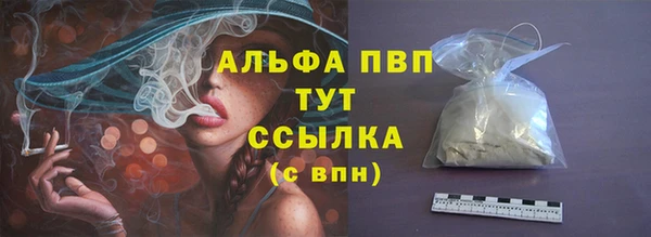 молекула духа Арсеньев
