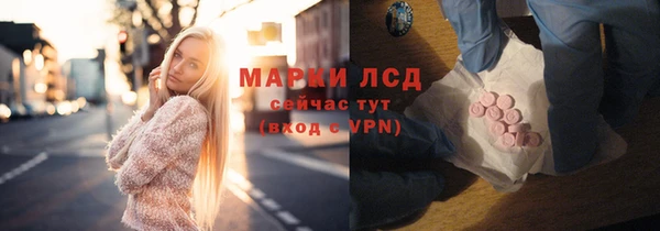 гидра Аркадак