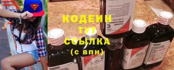 молекула духа Арсеньев