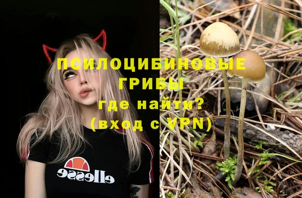 гидра Аркадак
