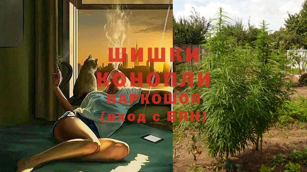 дмт Балахна