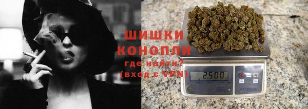молекула духа Арсеньев