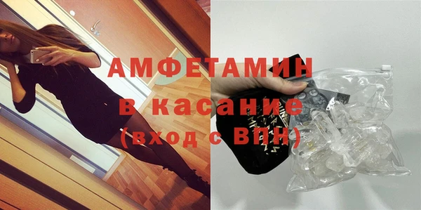 молекула духа Арсеньев